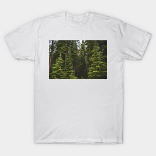 Magical Evergreen Mountain Woods T-Shirt